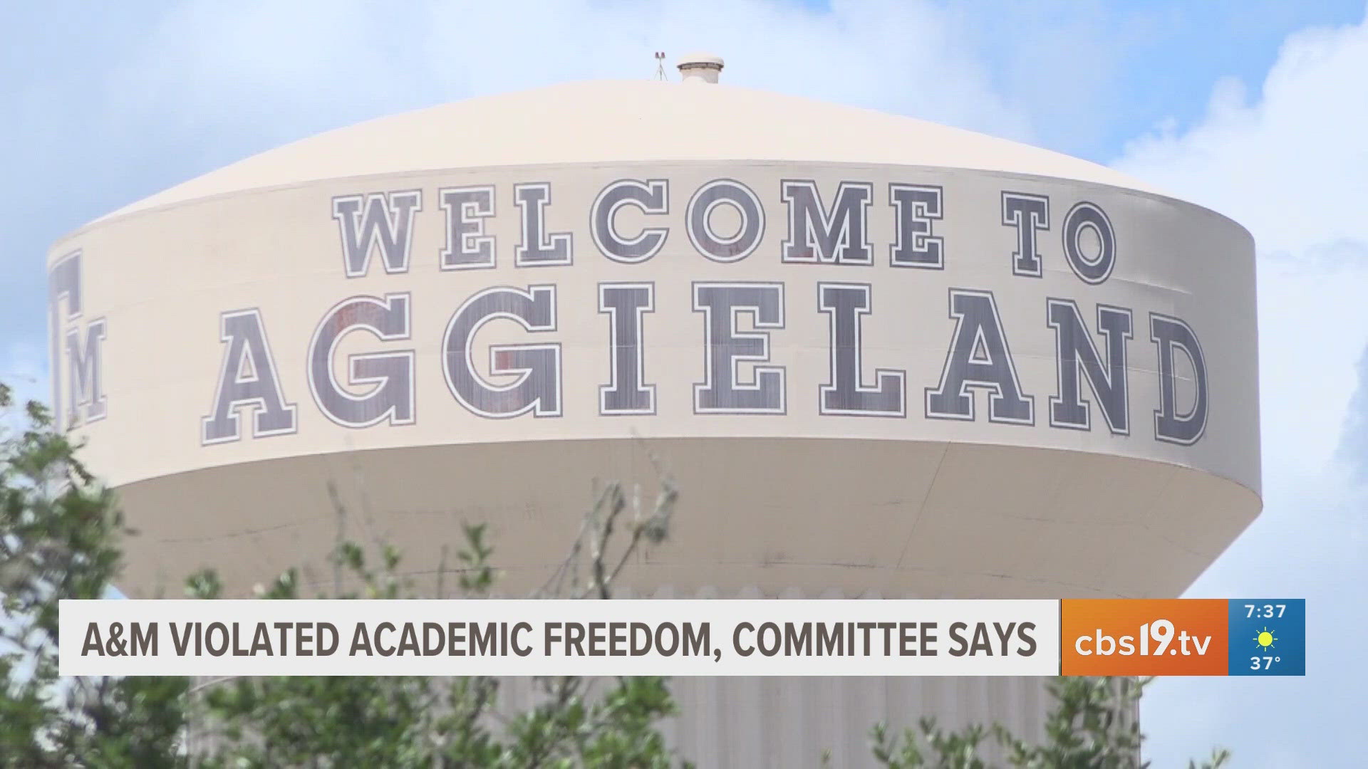 Texas A&M violated academic freedom, committee says | cbs19.tv