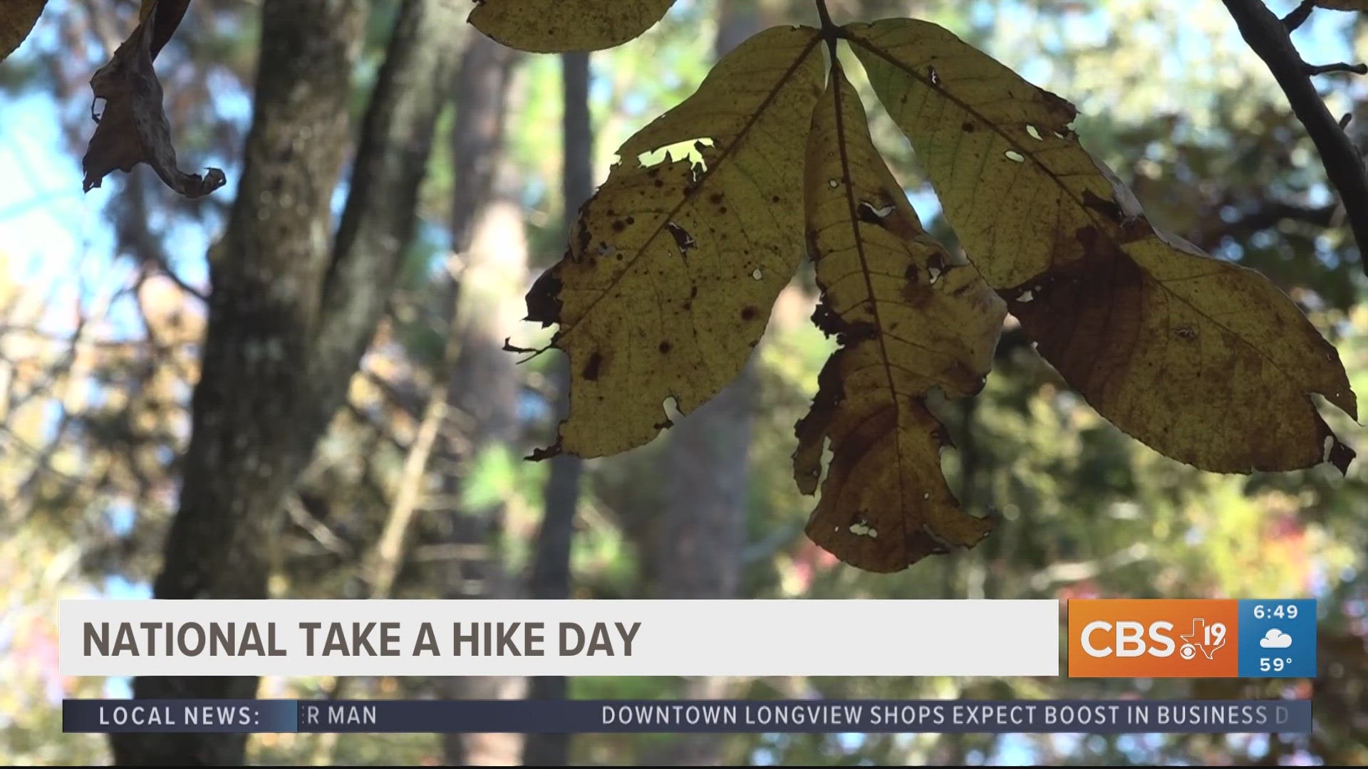 November 17, 2023 is National Take a Hike Day.  Here are a few tips to get the most of your outdoor adventure