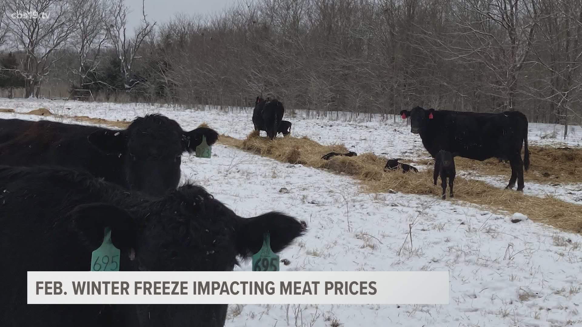 The impact of the snow and ice resulted in a loss of livestock for ranchers and an increase in meat prices for consumers.