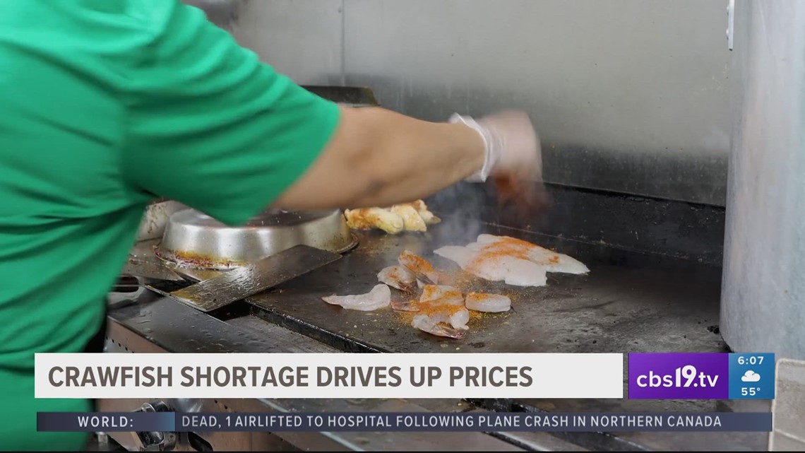Crawfish shortage lead by 2023 drought drives up prices across East Texas - Vimarsana News