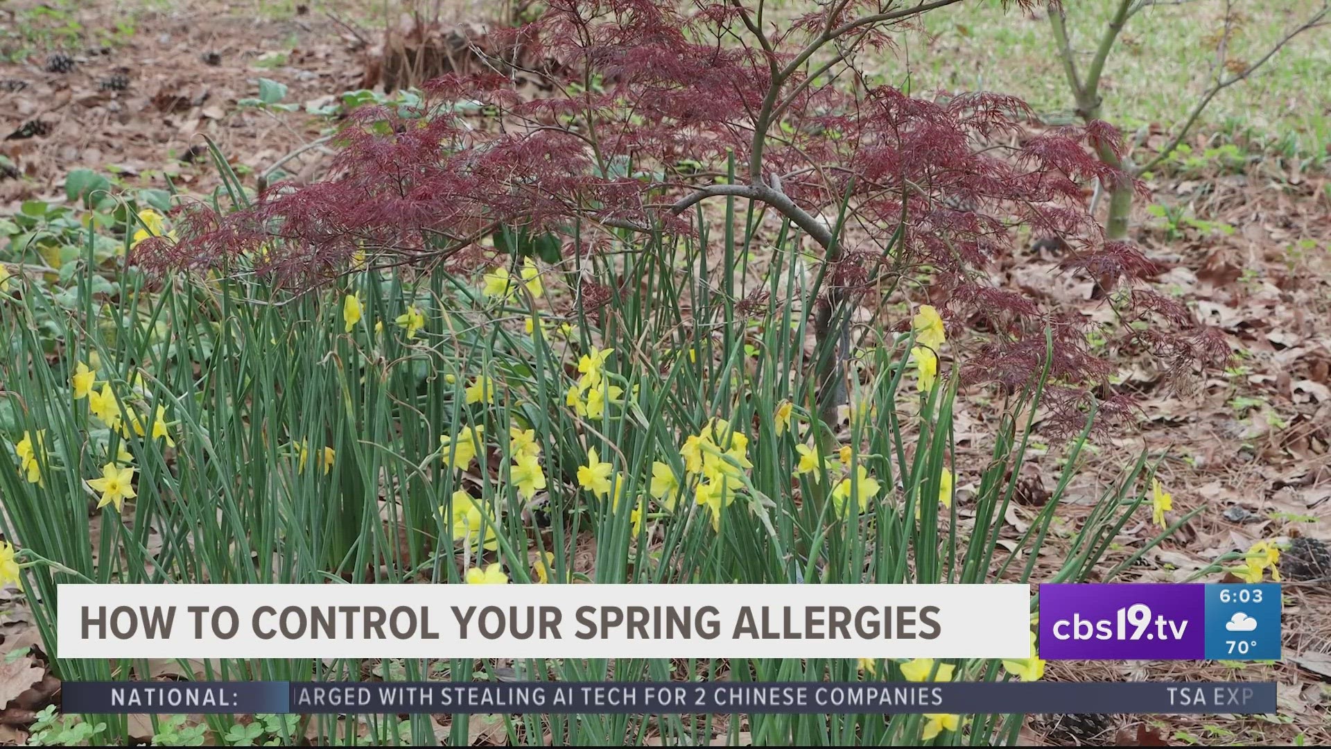 If you’re someone who struggles with allergies, you’re probably already feeling the effects. Doctors say wearing a mask outdoors could help.