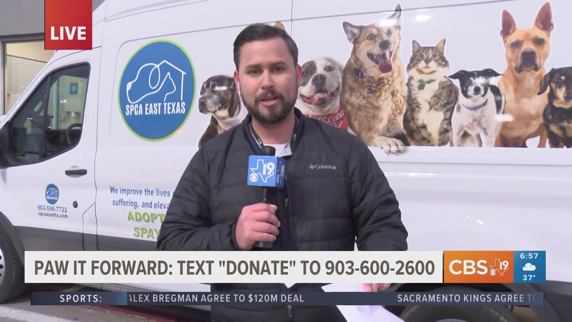 PAW IT FORWARD: Put your best paw forward and help the SPCA of East ...