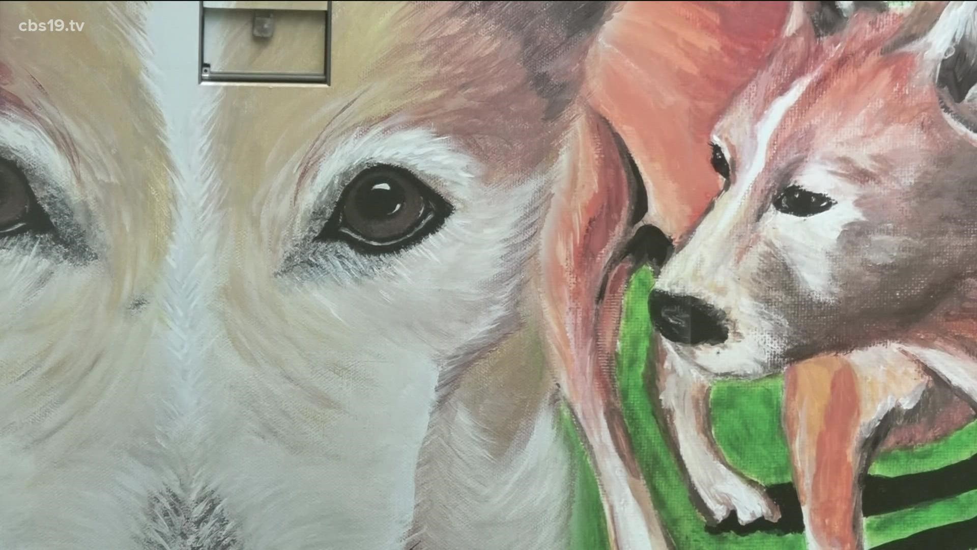 New Tyler mural highlights a beloved dog in Hollytree neighborhood
