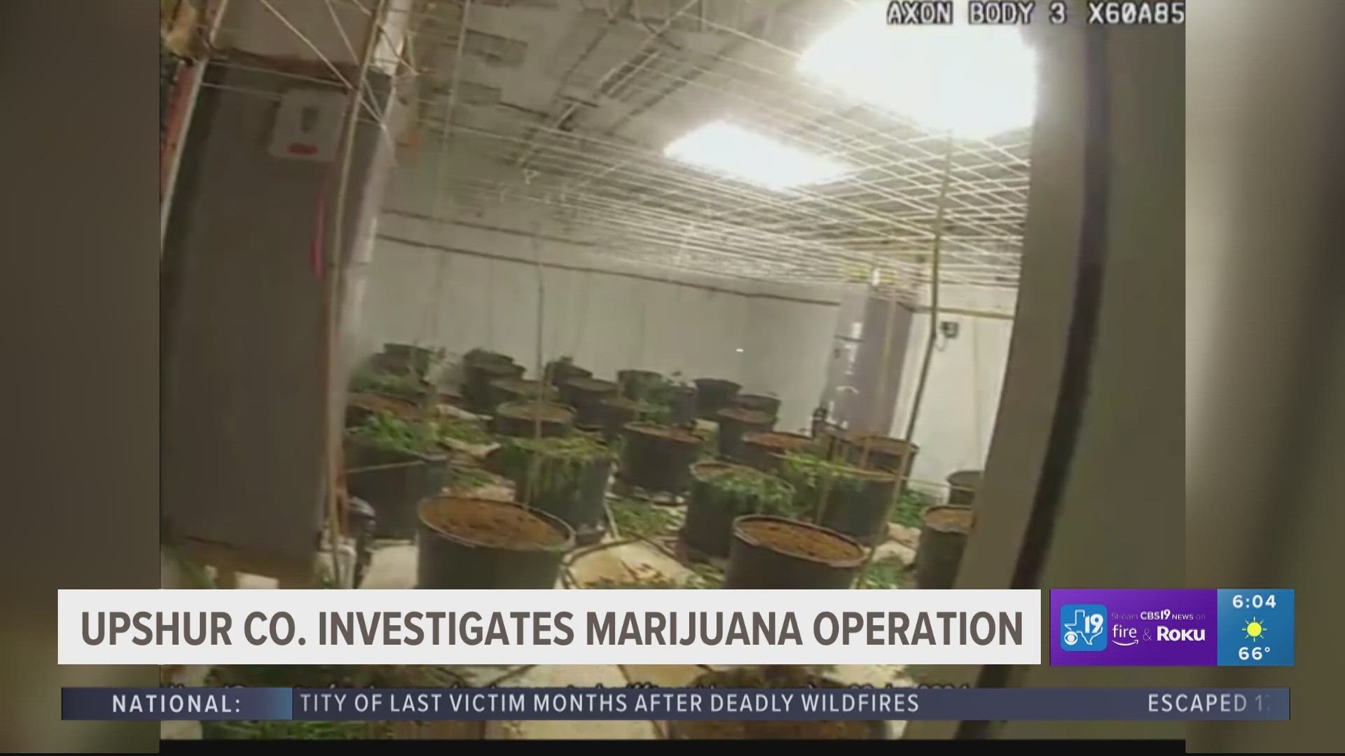 The Upshur County Sheriff's Office says inside the home and the detached building more than 70 suspected marijuana plants were found.