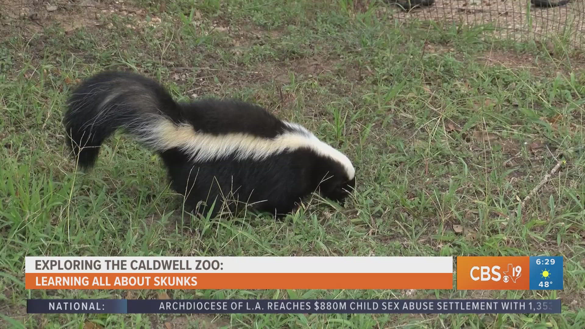 For more behind-the-scenes zoo content, watch CBS19 on Fridays during Morning Y'all for the weekly segment, Exploring the Caldwell Zoo.