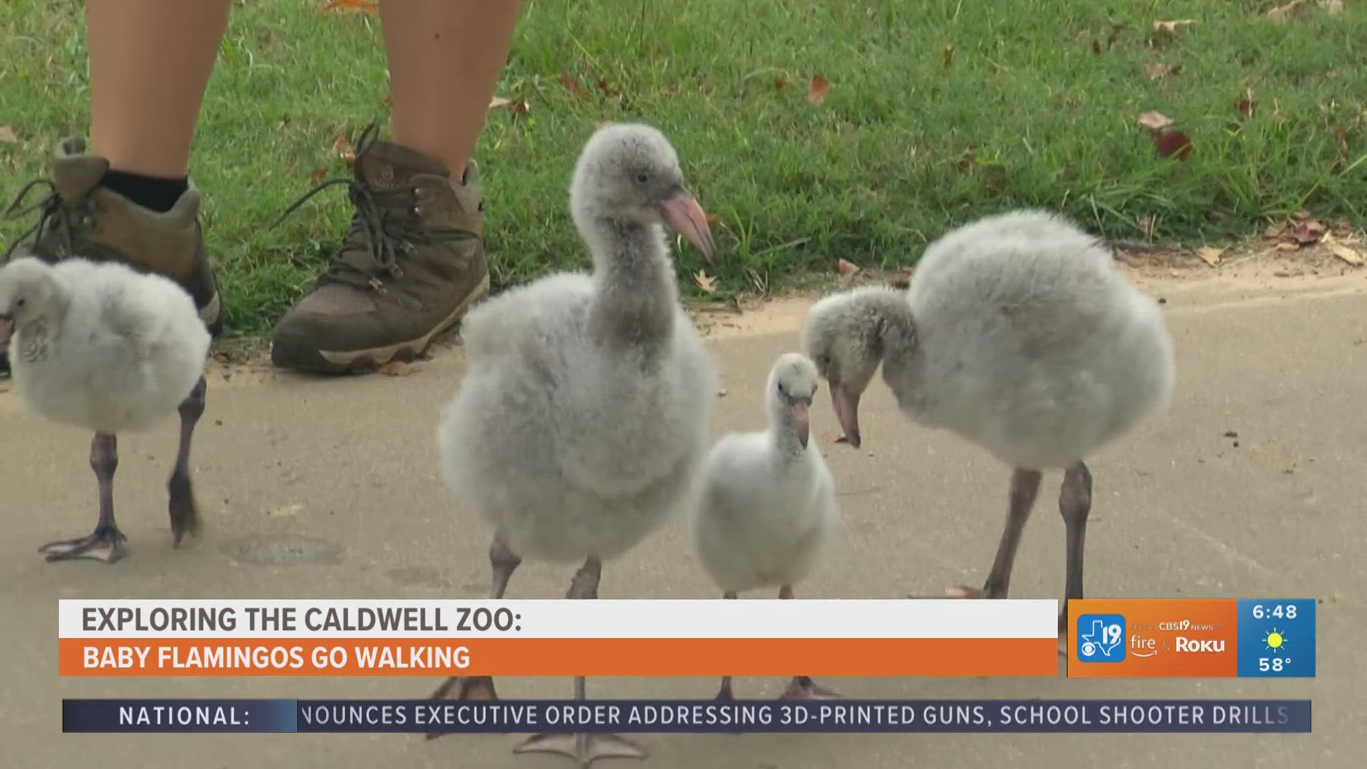 For more behind-the-scenes zoo content, watch CBS19 on Fridays during Morning Y'all for the weekly segment, Exploring the Caldwell Zoo