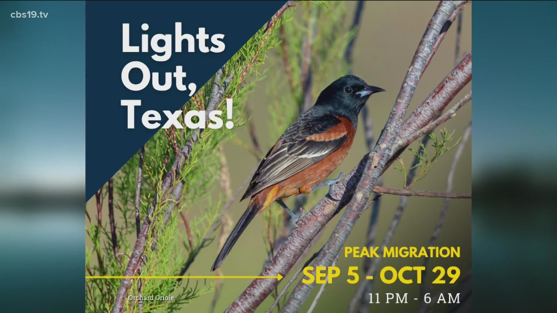 The "Lights Out for Wildlife" is a movement of reducing light pollution by diming or turning off non-essential lighting during peak migration periods