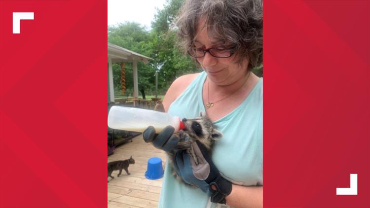 local wildlife rescue near me