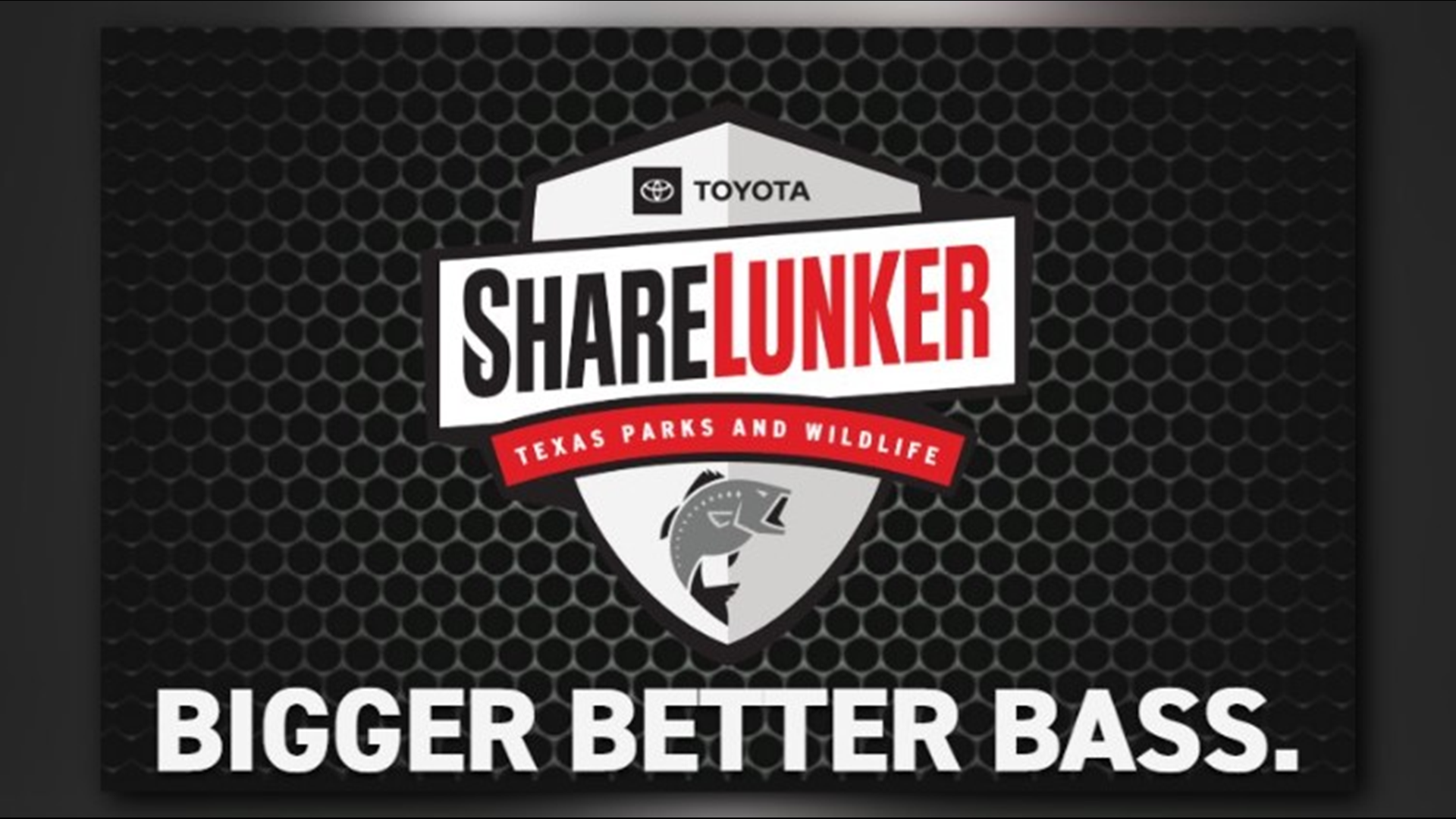 ShareLunker's 34th season opens in Texas cbs19.tv