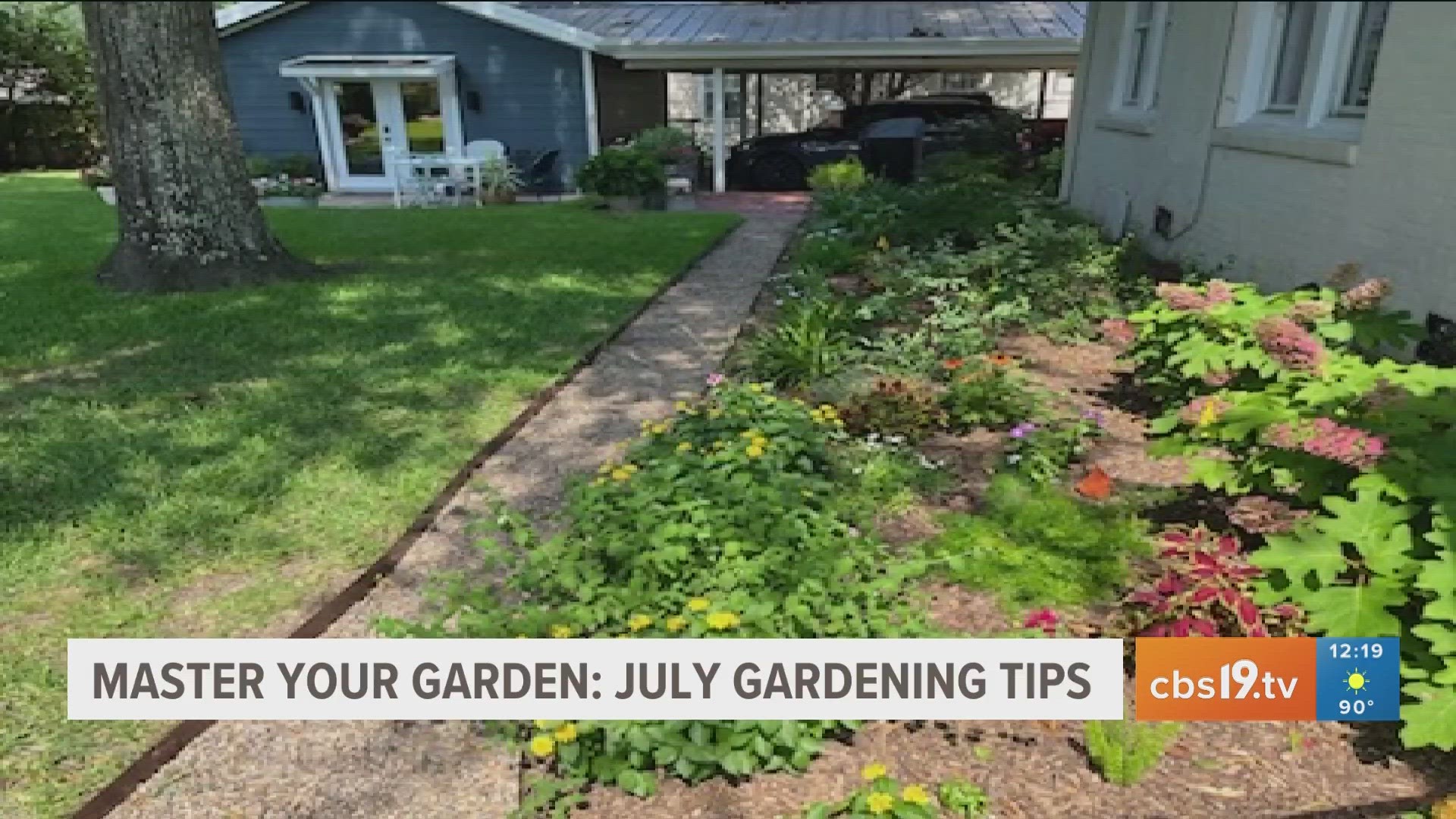 Don't forget to enter CBS19 and J&J Exterminating's Yard of the Month Contest!
