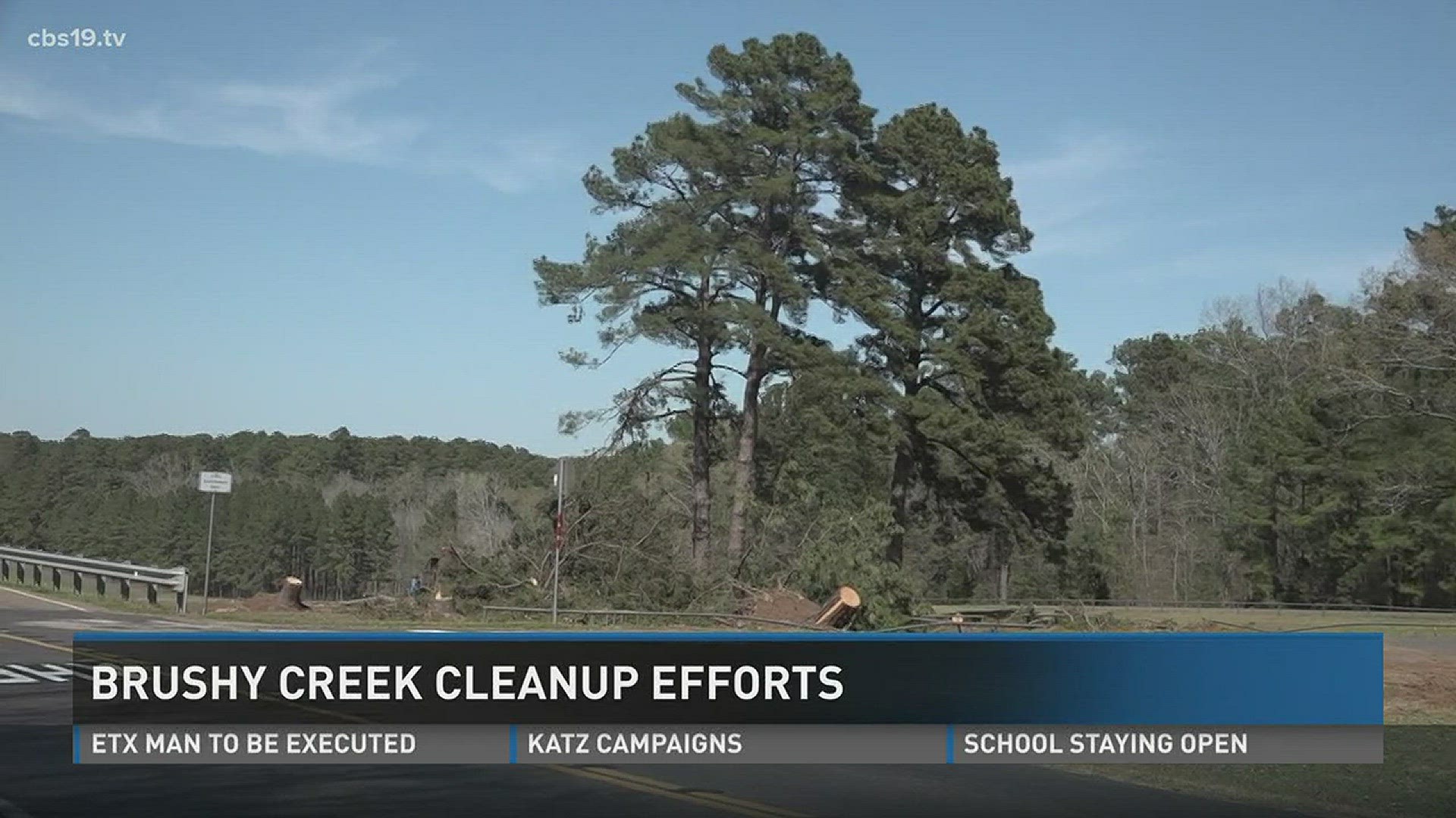 Lake O' the Pines cleaup efforts