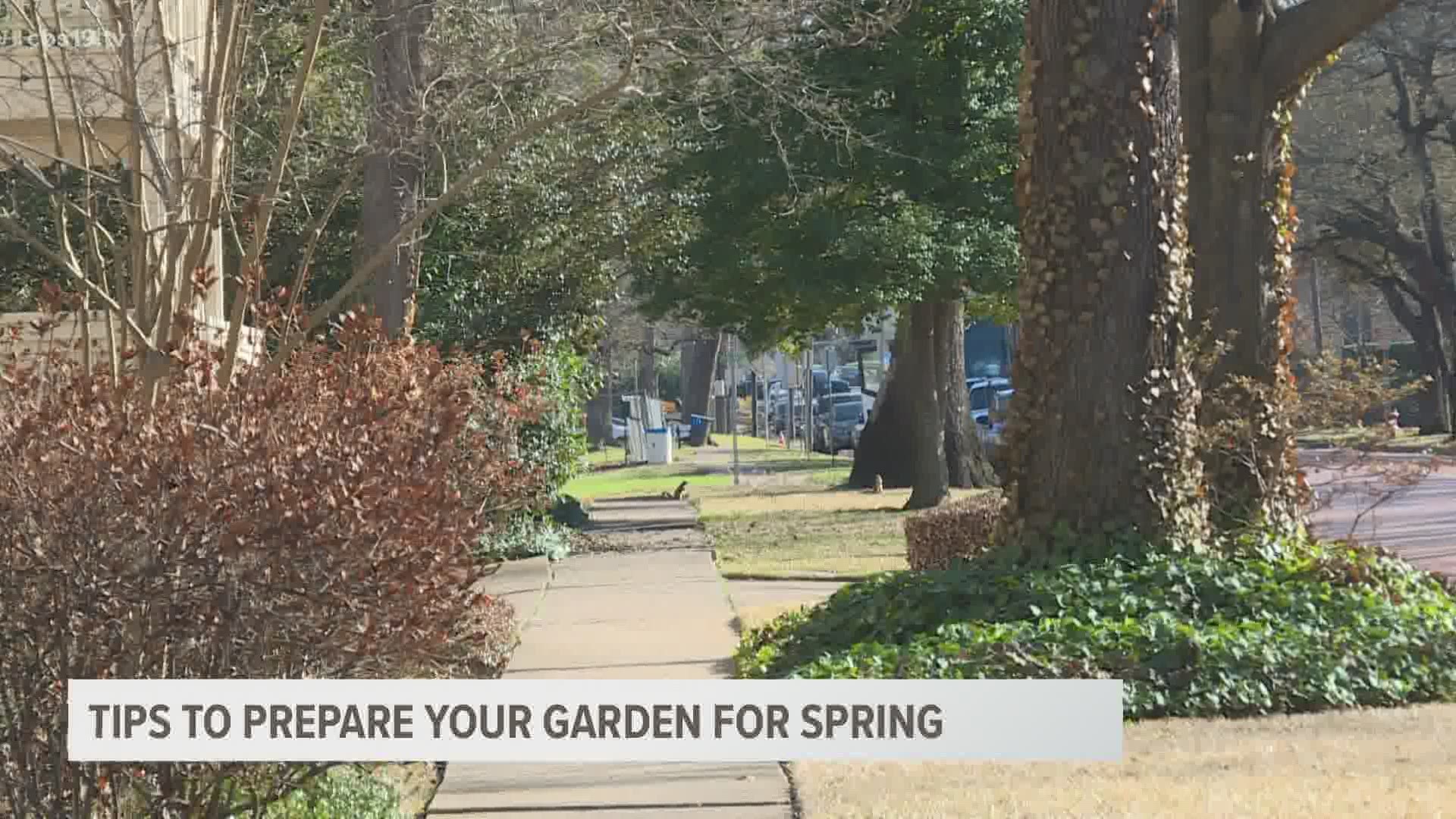 The Smith County Master Gardeners have a few tips to bring gardens back into bloom.