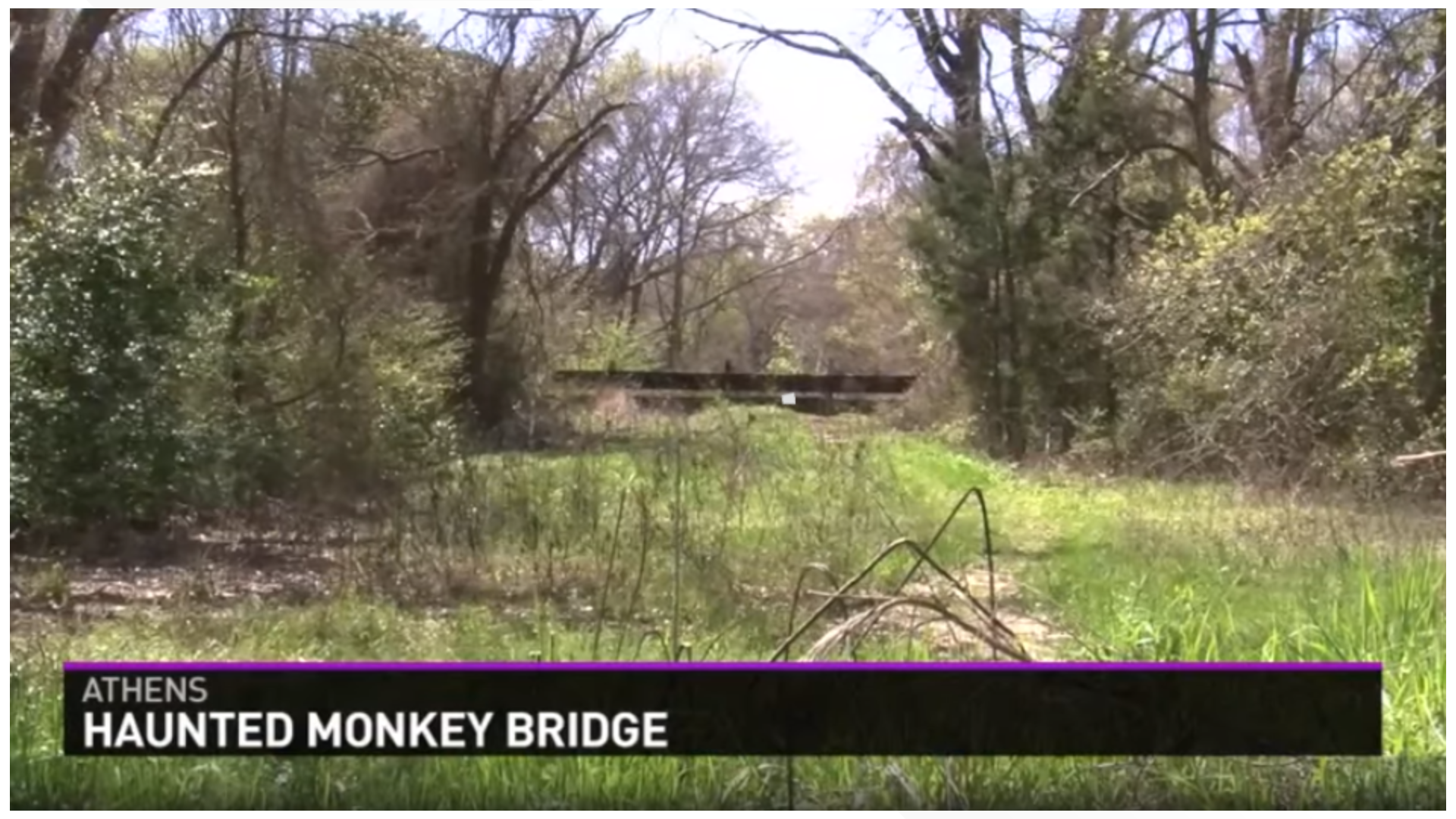 The legend of the Haunted Monkey Bridge