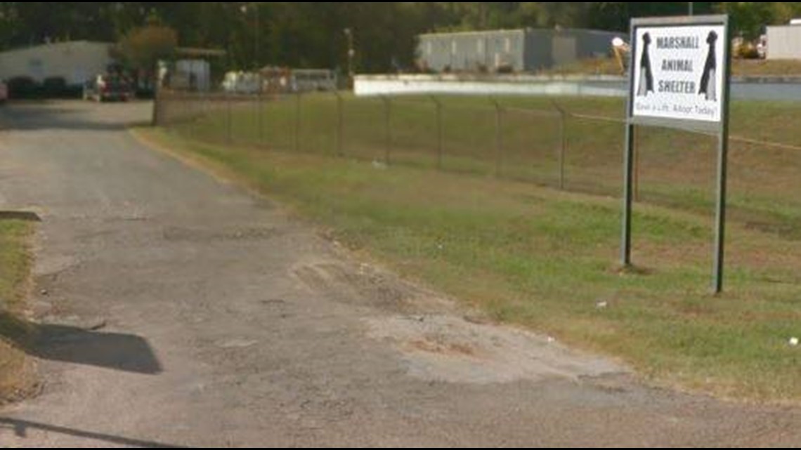 Marshall Animal Shelter release video after parvo outbreak cbs19.tv