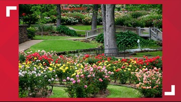City Tyler Rose Garden Recognized As A National Treasure Cbs19 Tv