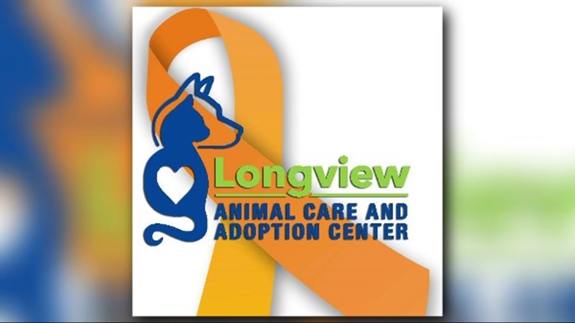 Longview animal center takes in more than 400 animals in June alone