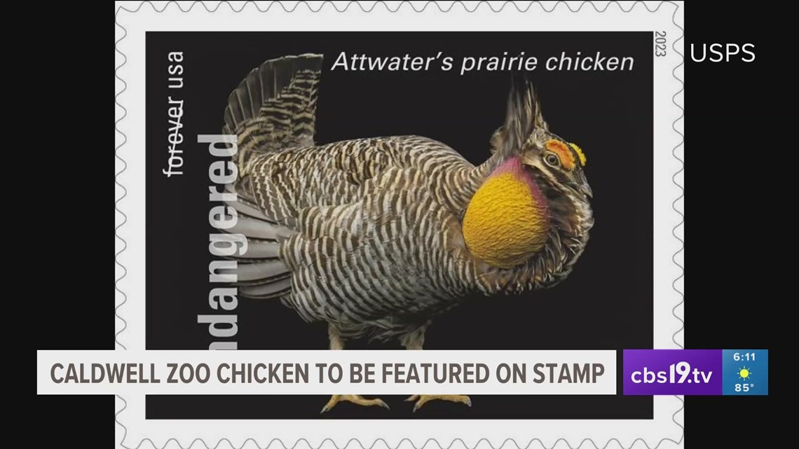 Caldwell Zoo to be featured on USPS Endangered Species stamps cbs19.tv