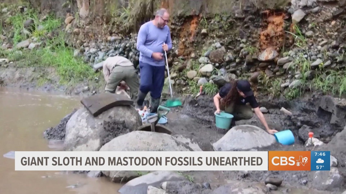 Ice Age fossils uncovered in Costa Rica