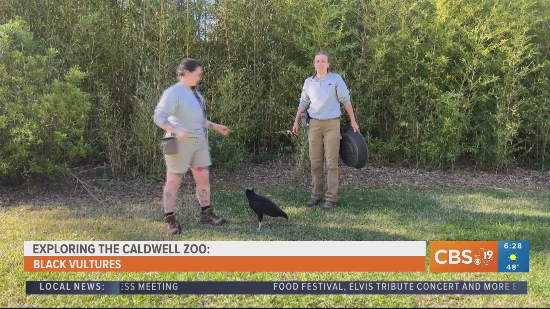 EXPLORING THE CALDWELL ZOO: Meet Matilda the black vulture