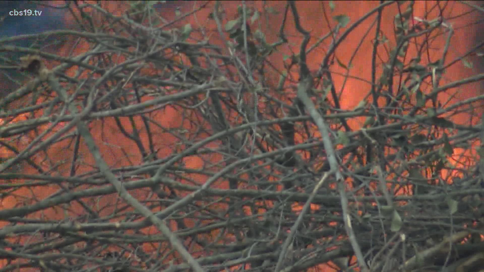 Wild fire danger remains significant despite recent rain, storms in East Texas