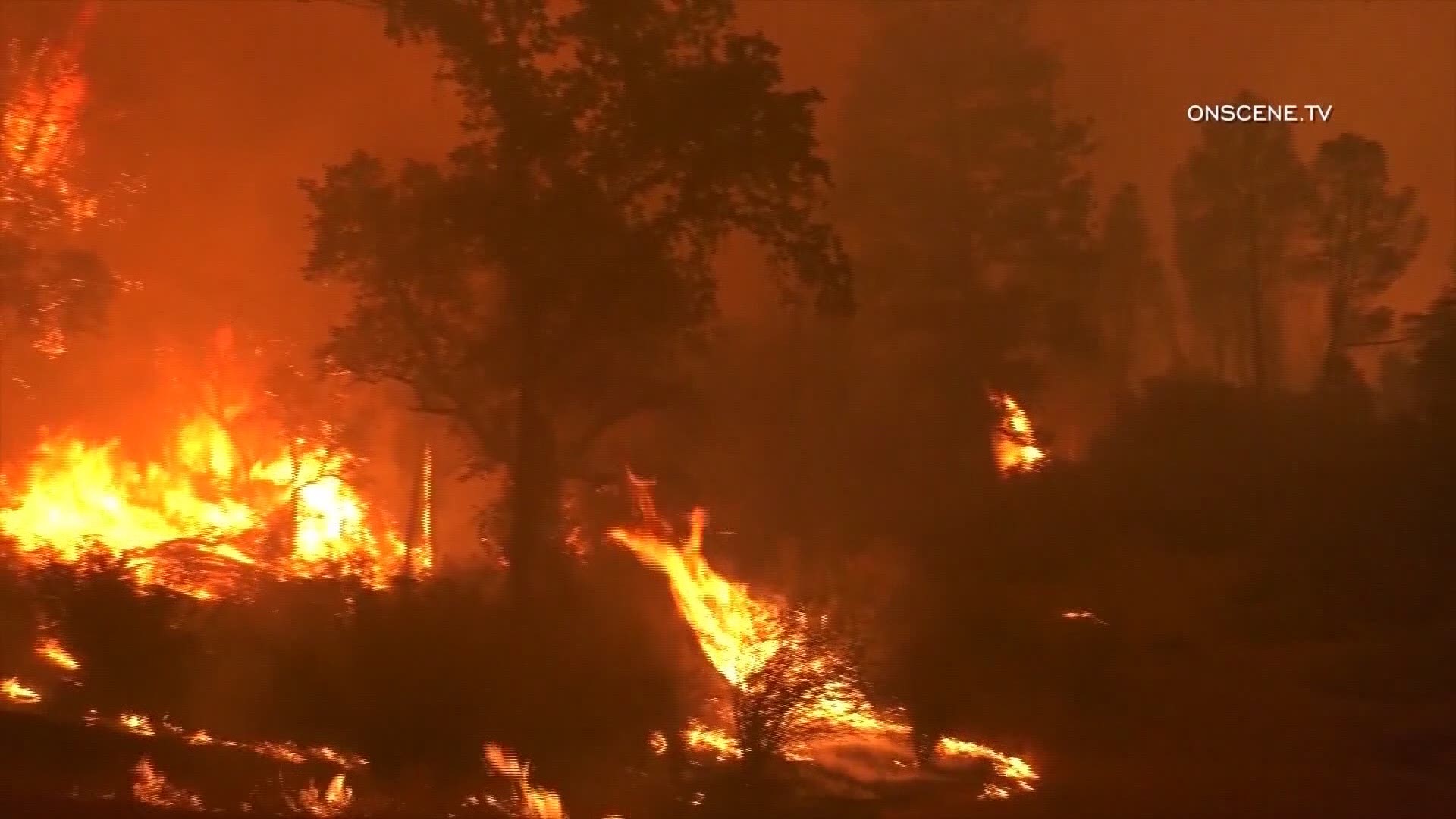 Longview's second crew of firefighters sent to California, returned home last week after assisting with controlling the Creek Fire.