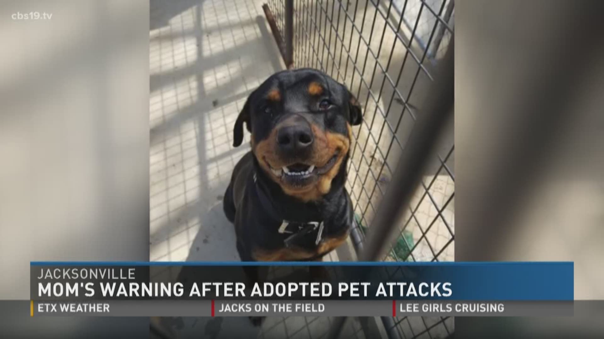 Mom warns others after adopted dog attacks sons 
