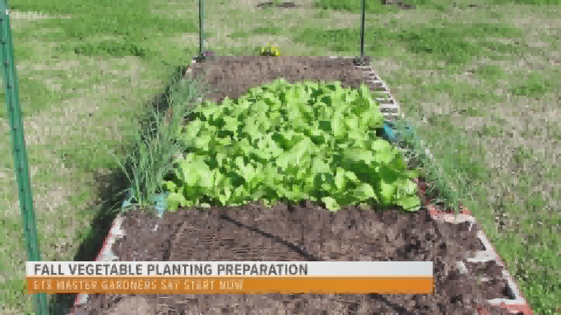 If you haven't already, now is the perfect time to start prepping your garden for those fall vegetables.