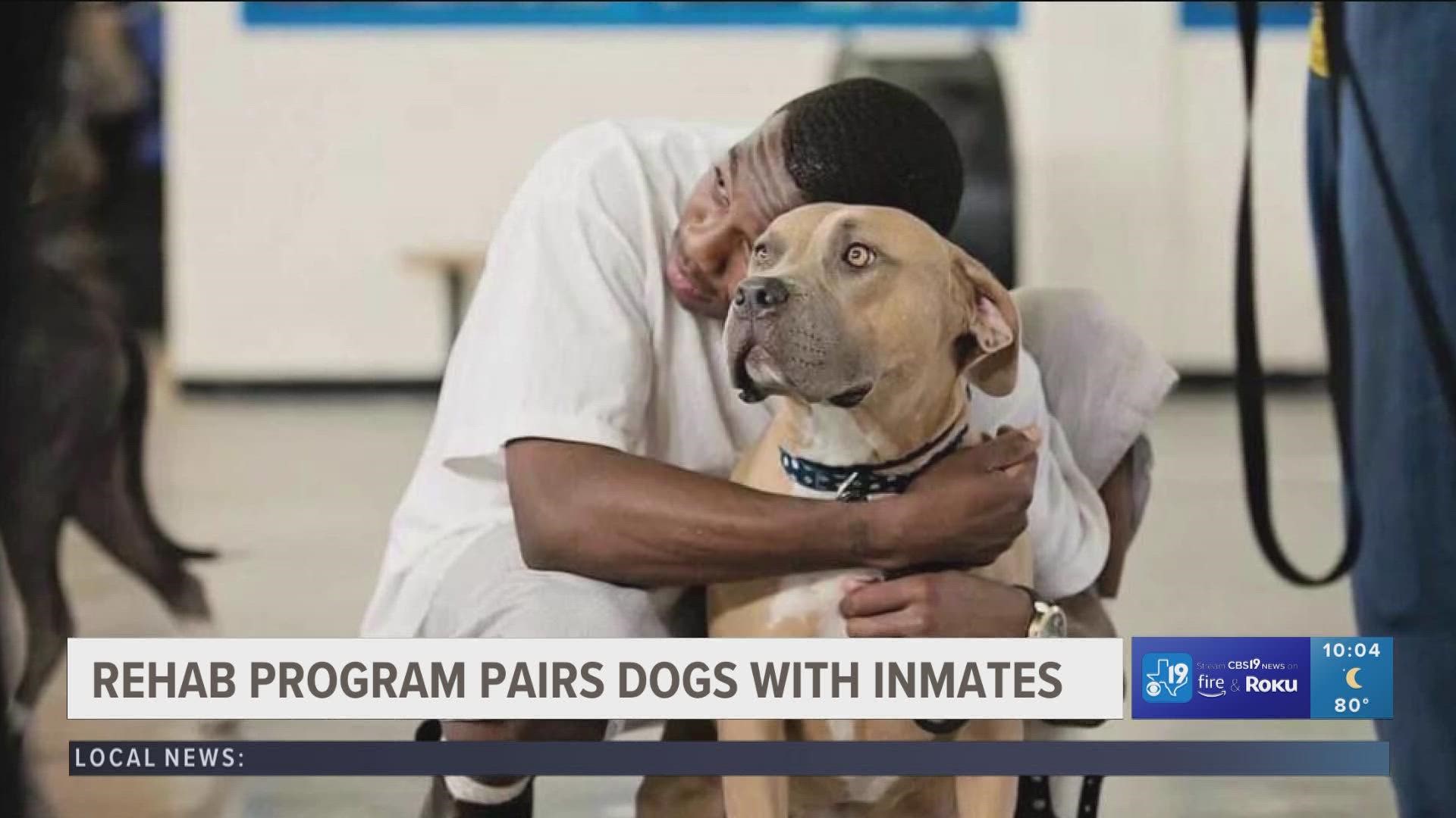 Inmates will keep and train the dogs until they’re ready to be adopted.