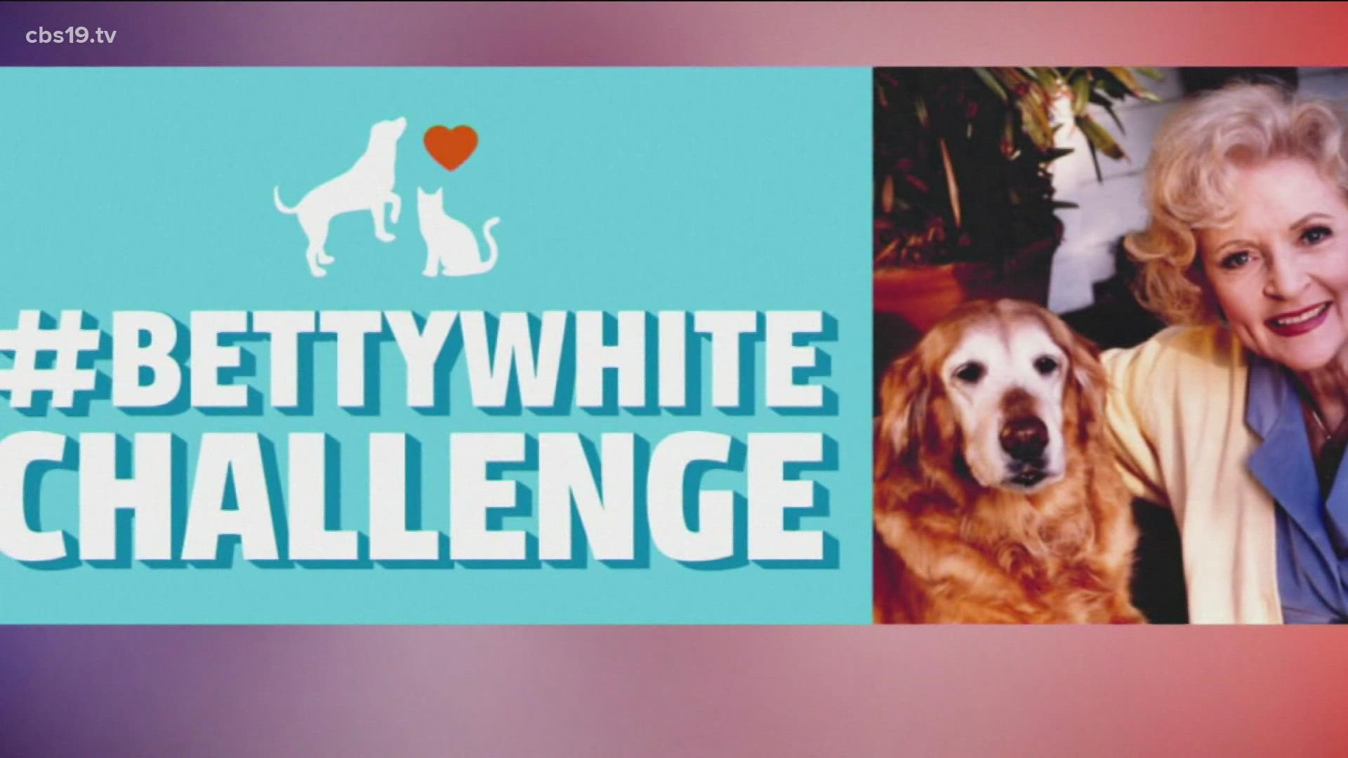 The Betty White Challenge is a social media trend that encourages people to donate at least $5 to local animal shelters in memory of the celebrity