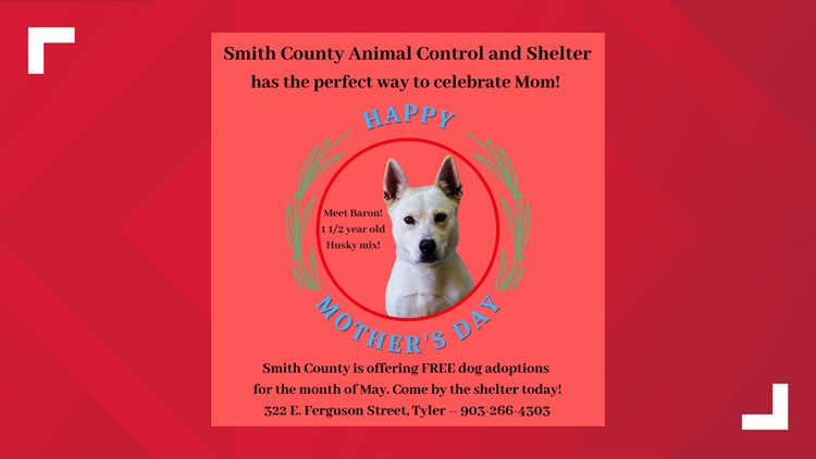 Free dog adoptions at Smith County Animal Shelter on Mother's Day