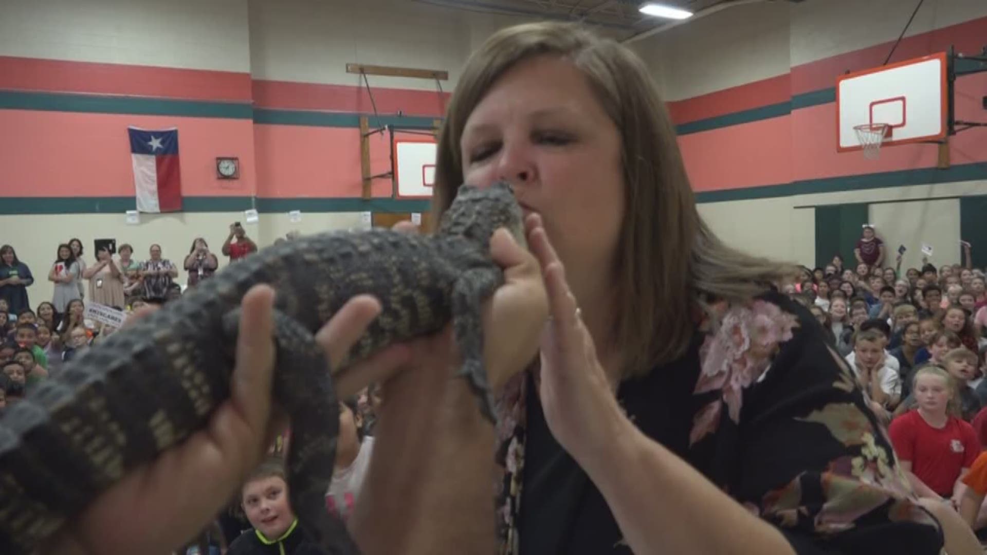 Principal puckers up, kisses alligator for Harvey relief 