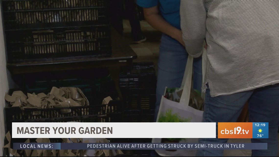 Head to Master Gardeners 'From Bulbs to Blooms' event - Vimarsana News