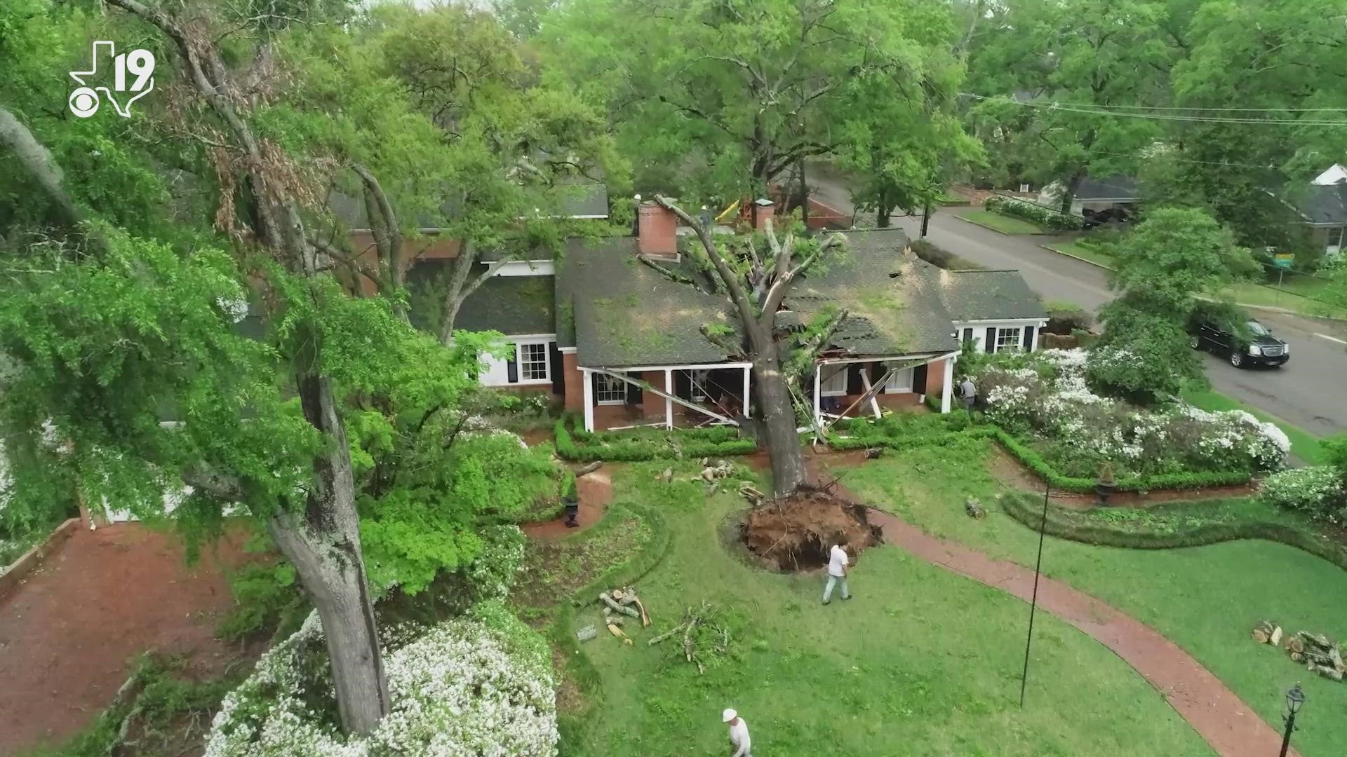 Damage in Tyler after severe storm passed by.