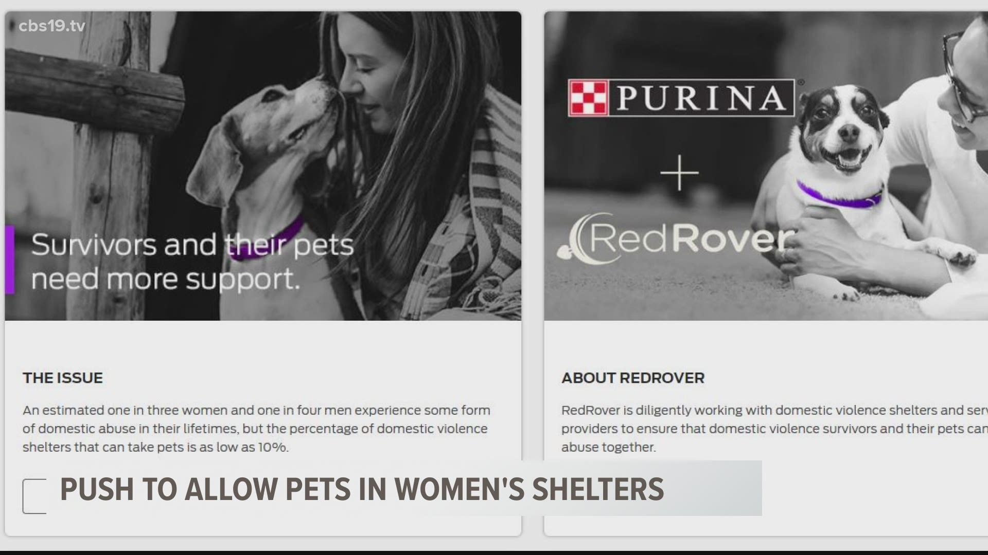 Purina and Red Rover are teaming up with talk show host Tamron Hall to shine light on the issue.