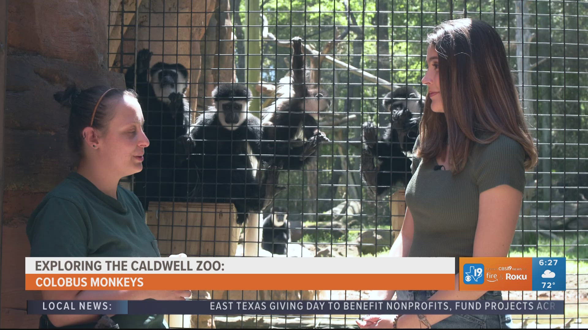 EXPLORING THE CALDWELL ZOO: Meet the colobus monkeys