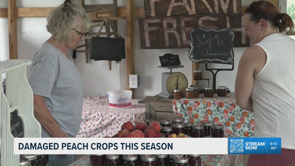 East Texas peach harvest shrinks after warm winter, late freeze hits crops