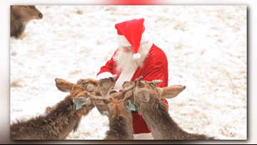 Cleared For Takeoff Santa Claus Official Veterinarian Oks