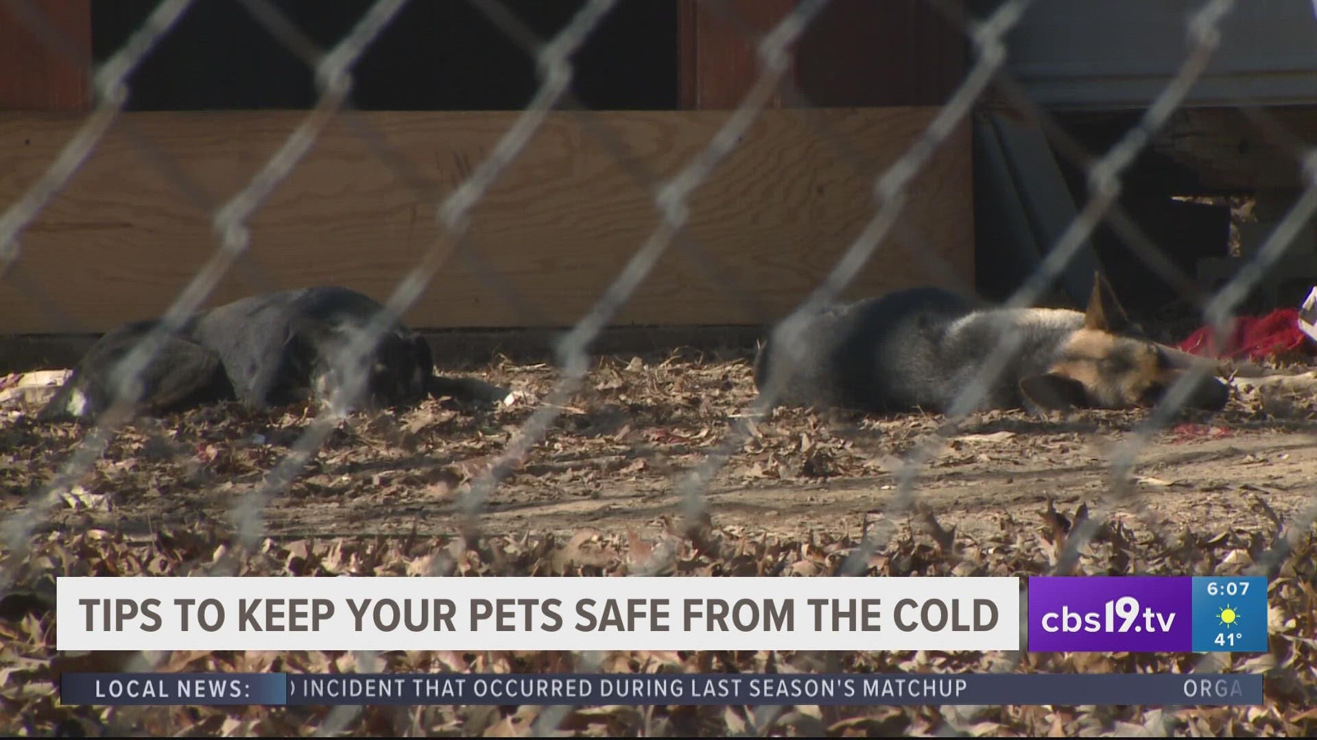 East Texans are preparing their animals for the arctic storm next week.