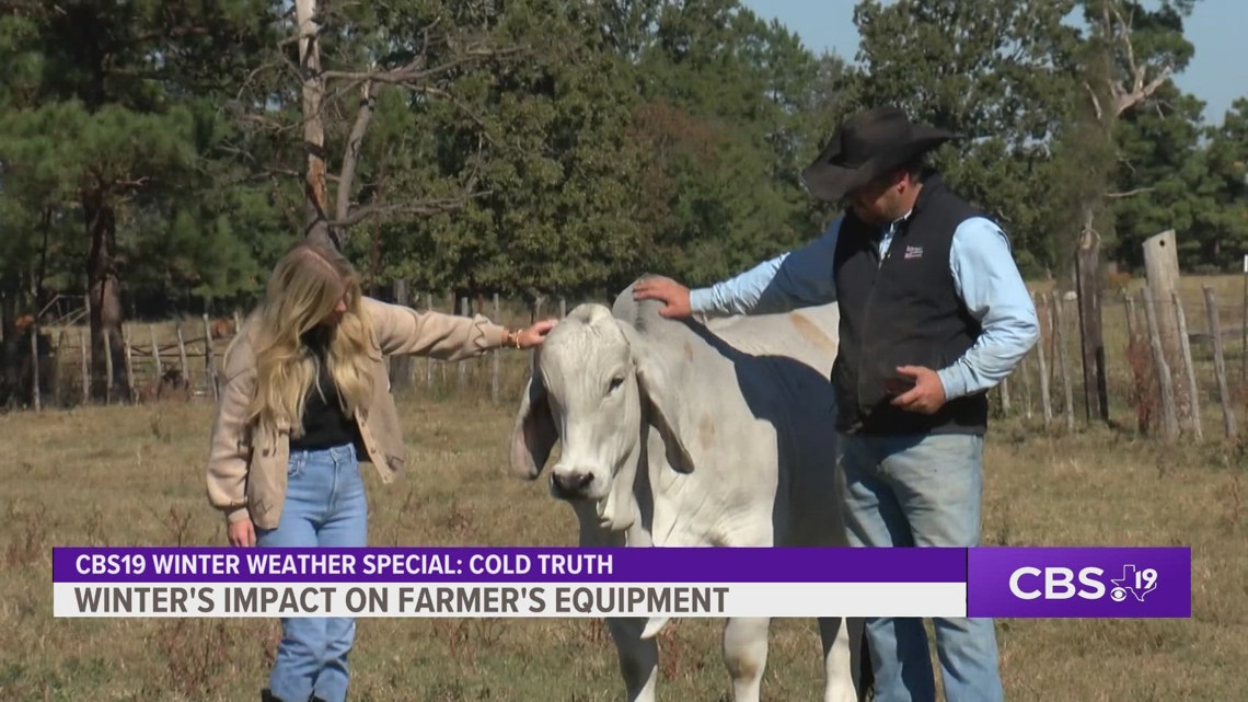 COLD TRUTH: East Texas farmer advises how to protect cattle and crops from hard freeze