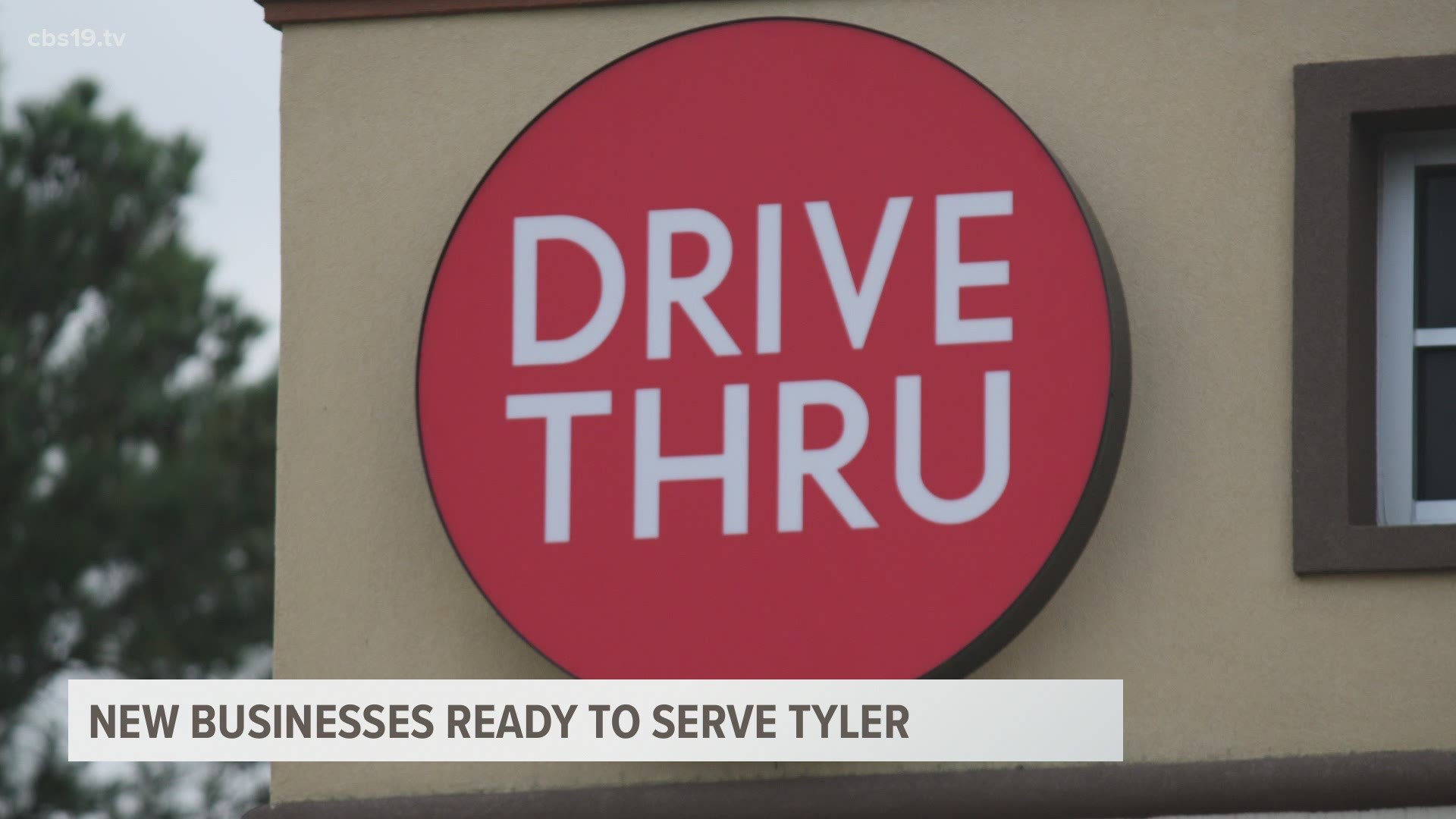The City of Tyler had a variety of businesses open this year, especially when it came to food options.