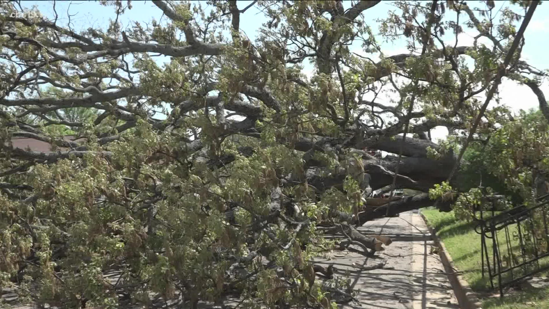 A spokesperson for the City of Tyler says they received nearly 270 calls for fallen trees and limbs in roadways.