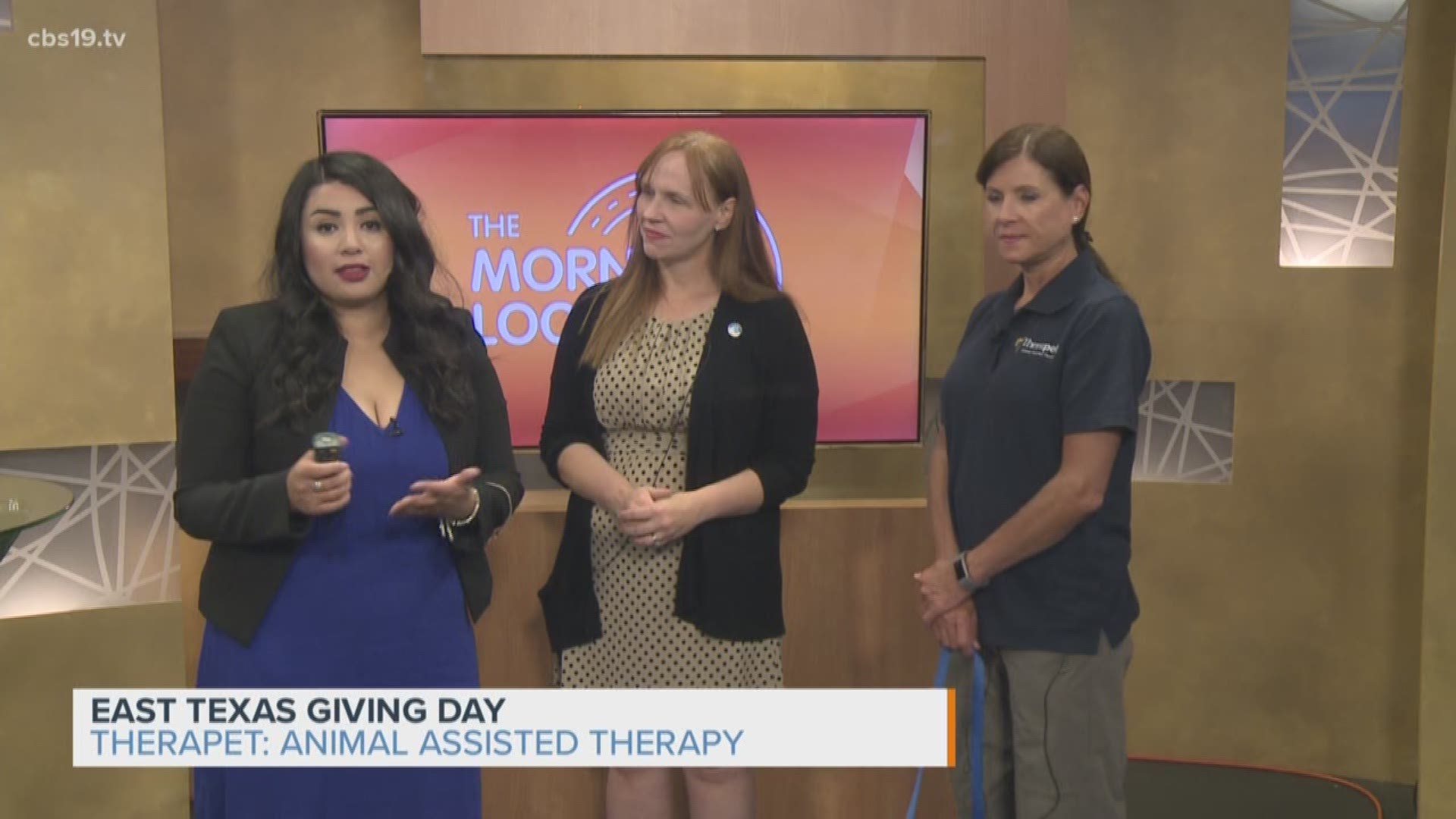 East Texas Giving Day: Therapet - Animal Assisted Therapy 