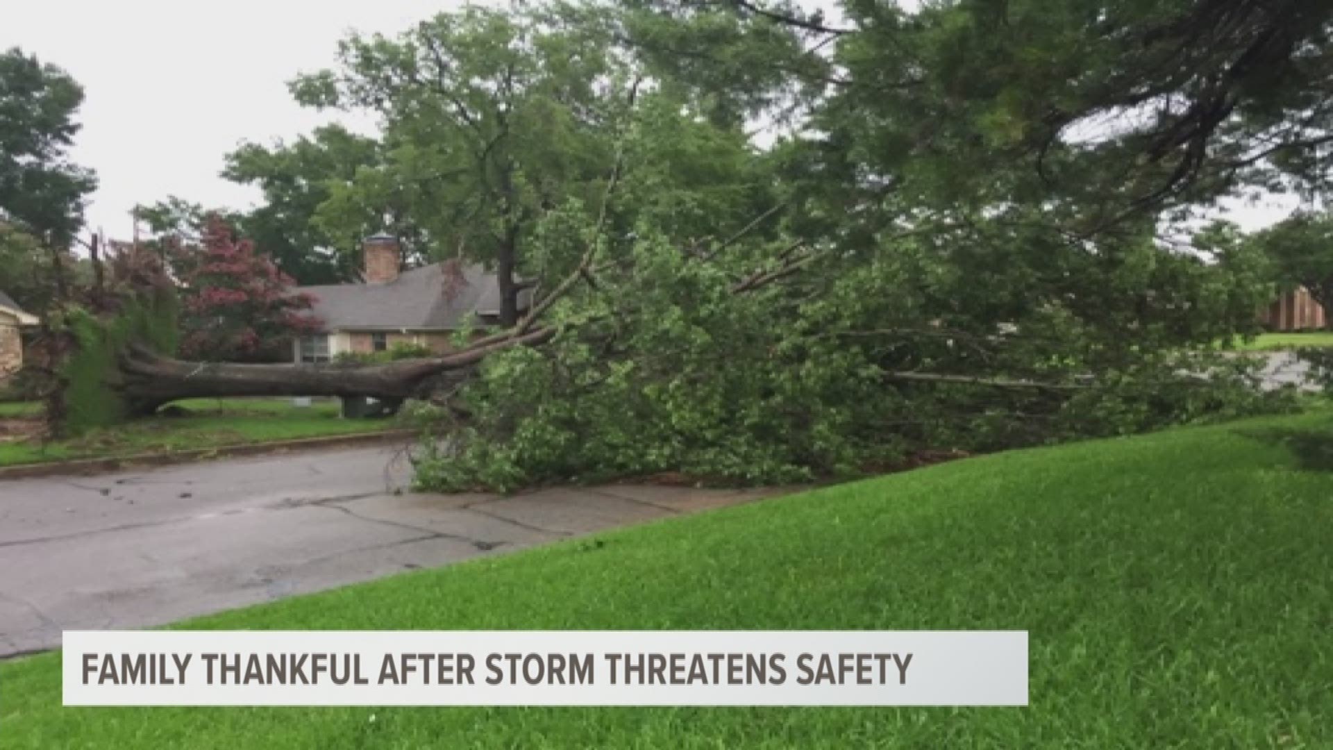 A large oak tree was uprooted by heavy winds, left blocking a neighborhood street.