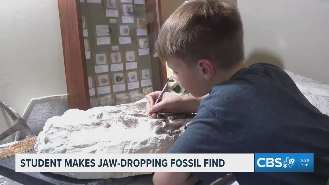 Kansas sixth grader uncovers 15-foot Tylosaurus fossil on geology field trip