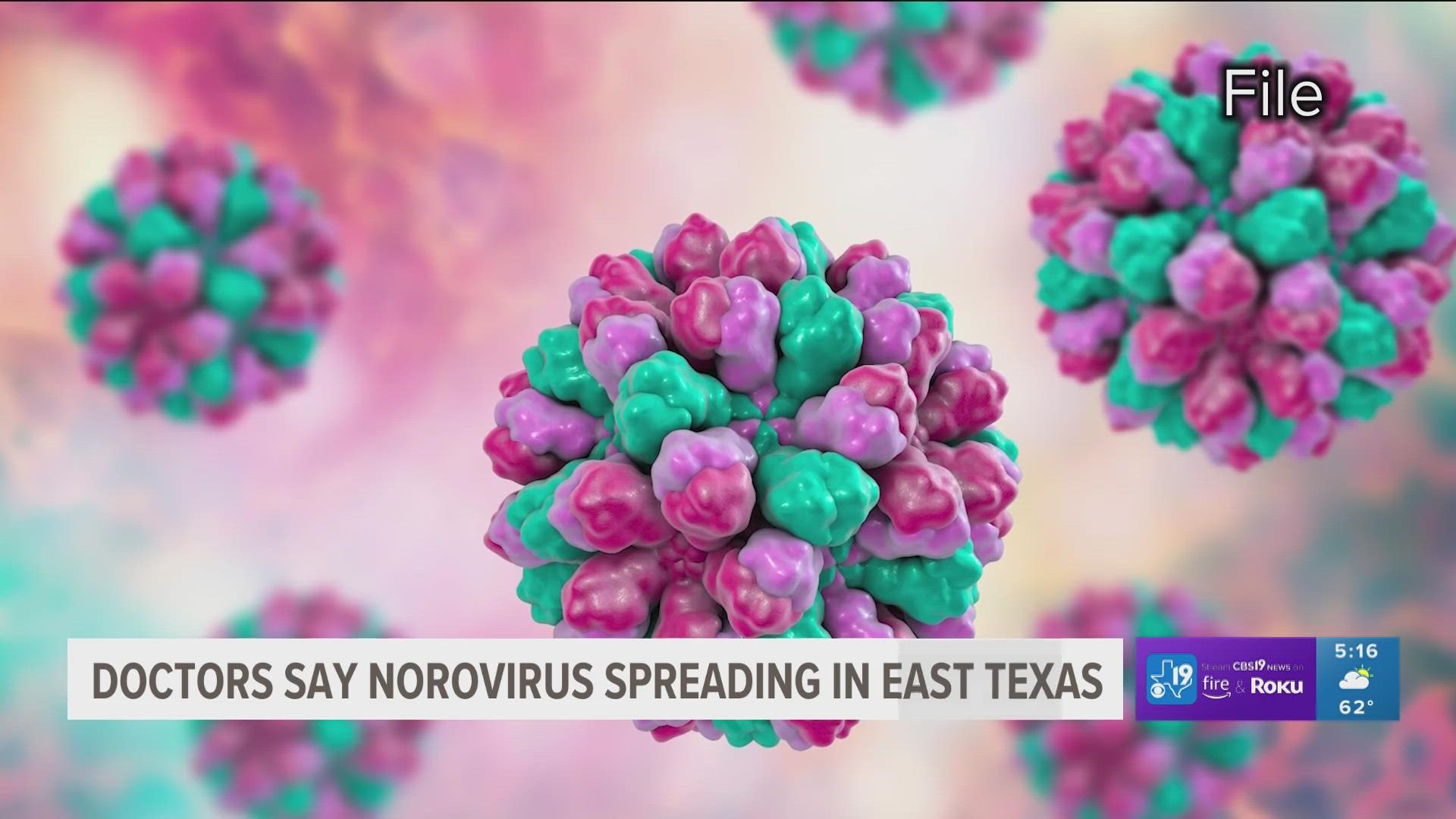 The norovirus is a contagious stomach bug that causes vomiting and diarrhea. Doctors advise drinking fluids with electrolytes to maintain proper body hydration.