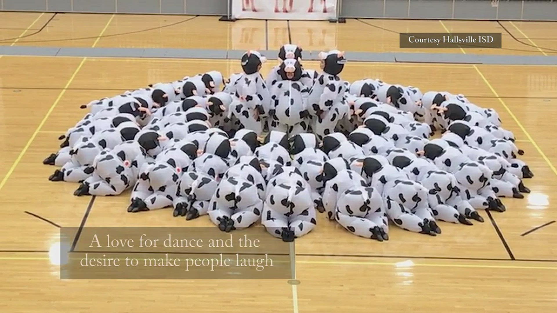 The young women of Hallsville High School Belles are now famous for their viral 'Cow Dance' performed at a recent dance competition in Dallas