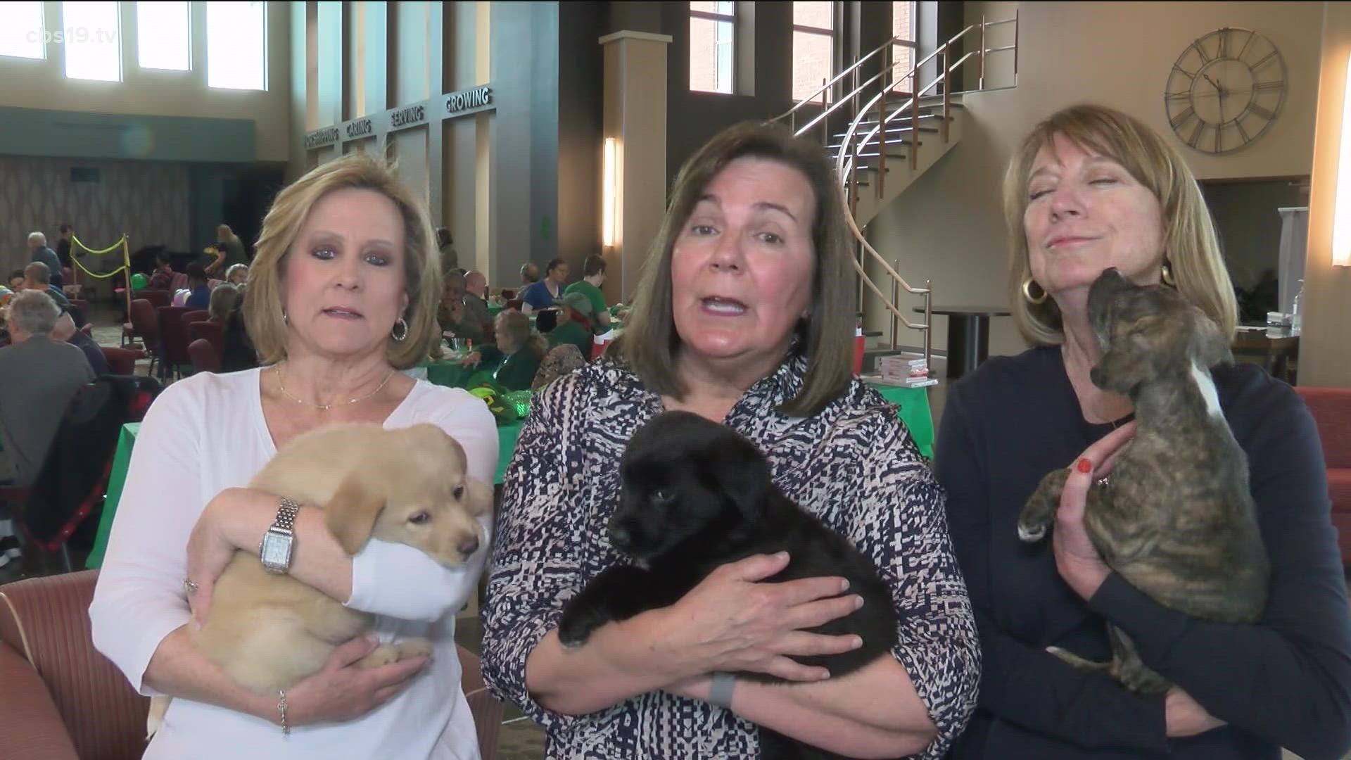 Alzheimer's Alliance of Smith County day club members receive visit from SPCA puppies