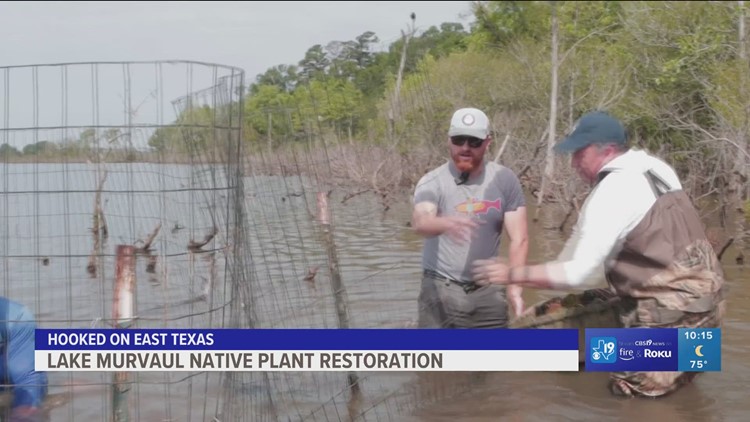 Hooked on East Texas: Restoring a native habitat
