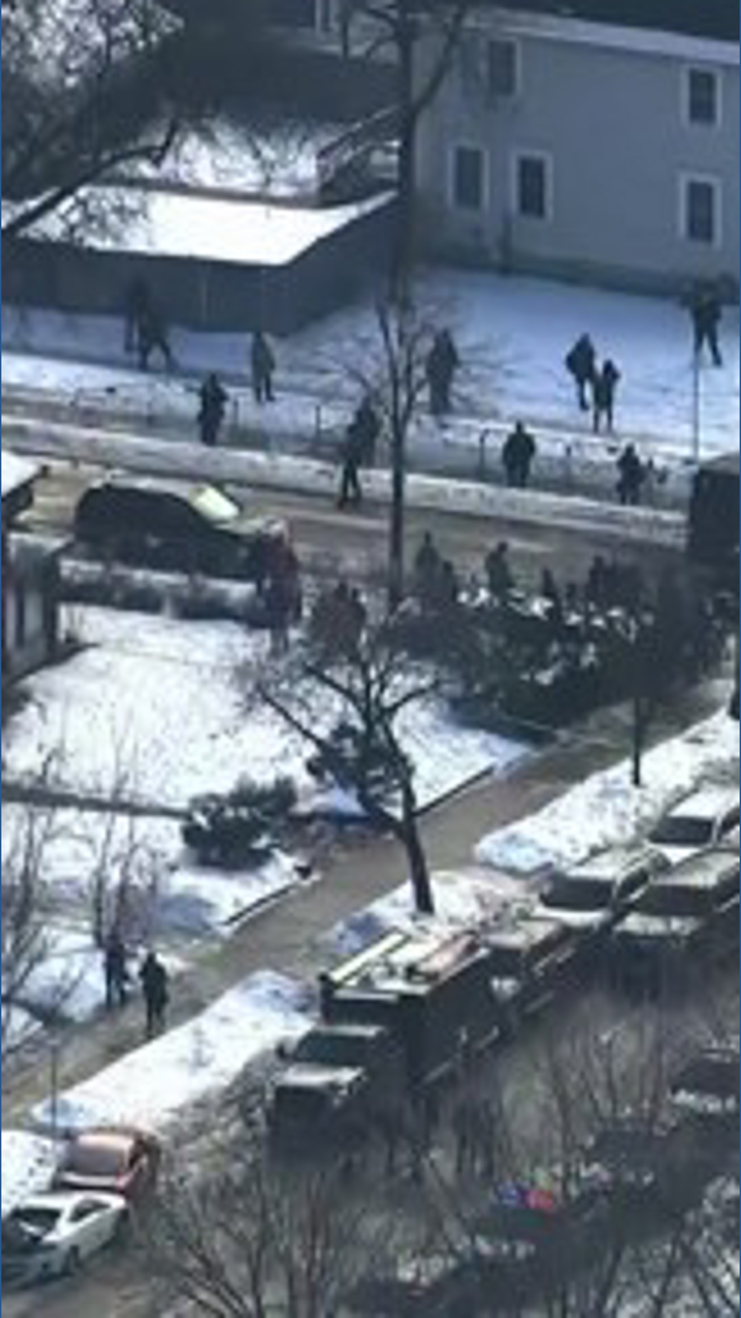 Woman fatally shot by ICE agent in Minneapolis | cbs19.tv