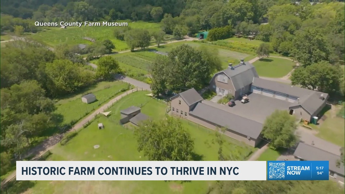 Historic Queens farm offers a glimpse of colonial America in New York ...